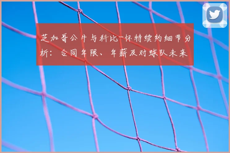 芝加哥公牛与科比-怀特续约细节分析:合同年限、年薪及对球队未来的影响