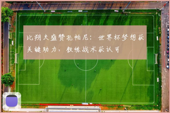 比朔夫盛赞孔帕尼:世界杯梦想获关键助力,教练战术获认可