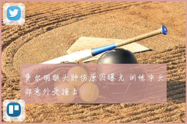 费尔明额头肿伤原因曝光 训练中头部意外受撞击