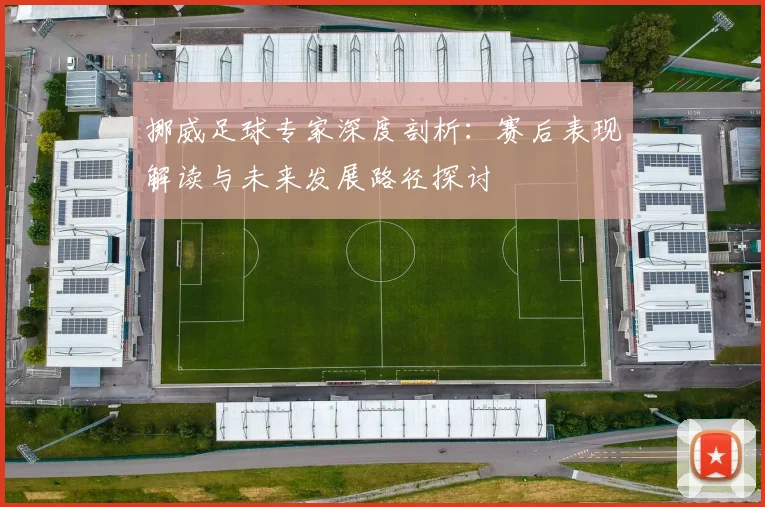 挪威足球专家深度剖析:赛后表现解读与未来发展路径探讨